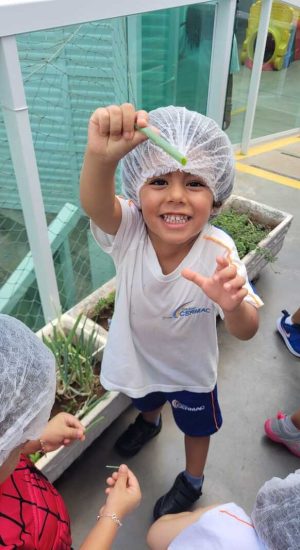 a334327d-eba4-4a0b-8f16-e7512977c42f